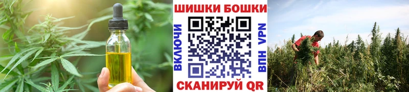 блэк спрут как войти  Покачи  Canna-Cookies конопля 