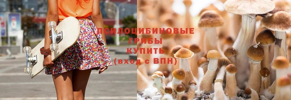 экстази Арсеньев