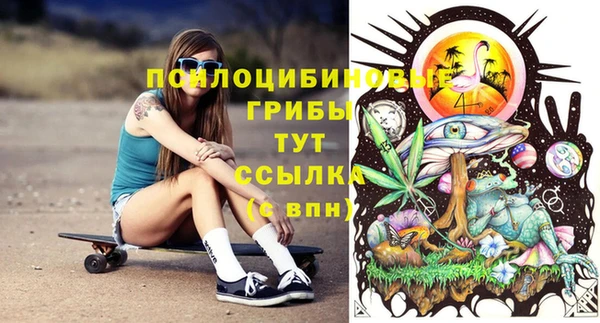экстази Арсеньев
