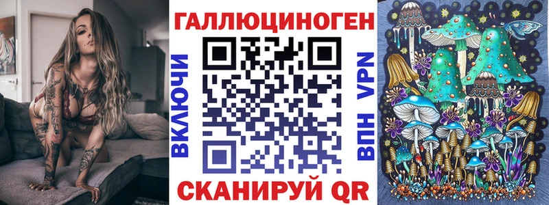 купить Покачи Псилоцибиновые грибы Cubensis